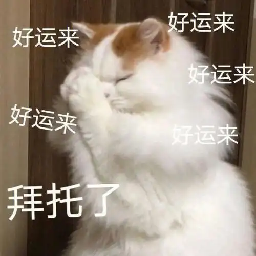 连续输了一星期 裤子都烂掉了到底是哪里出了问题希望今天开始转运