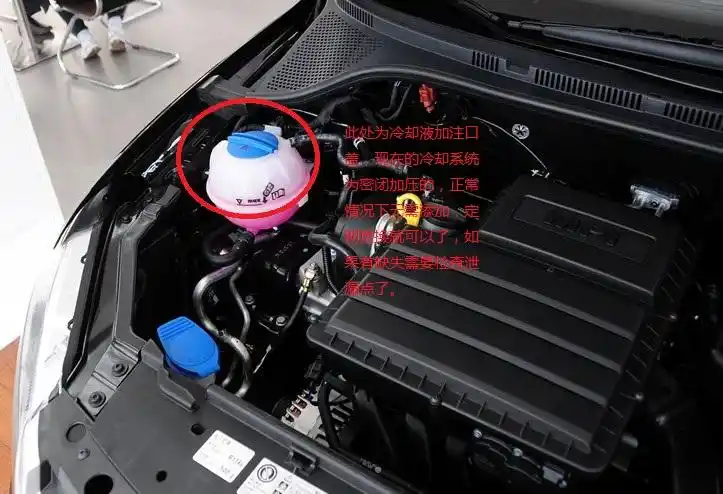 哪里是汽车的水箱