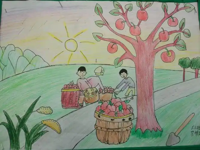 秋天丰收的景象