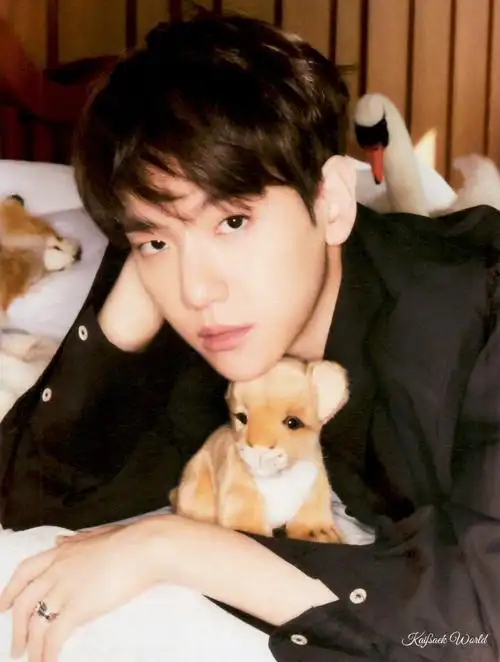 #边伯贤费加罗封面##边伯贤#