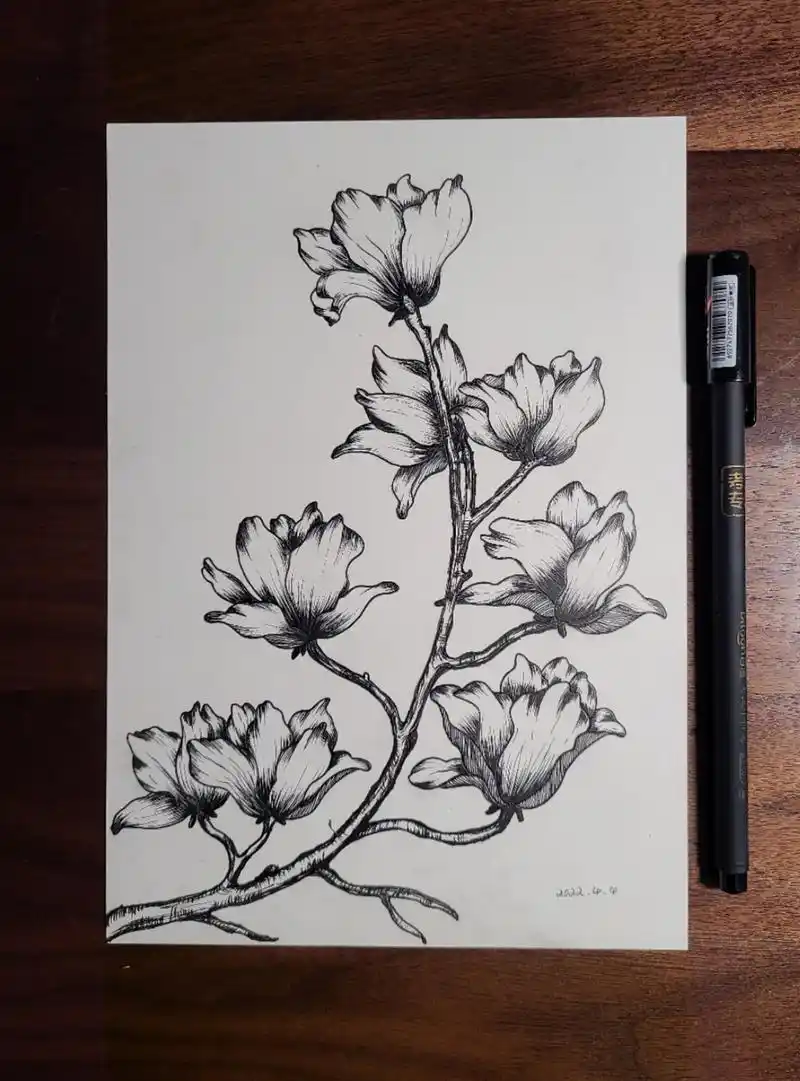 练习2#绘画 #黑白画 #针管笔手绘 #线条画  - 抖音