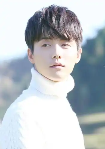 凉生,电视剧《凉生,我们可不可以不忧伤》中的角色,由马天宇饰演.