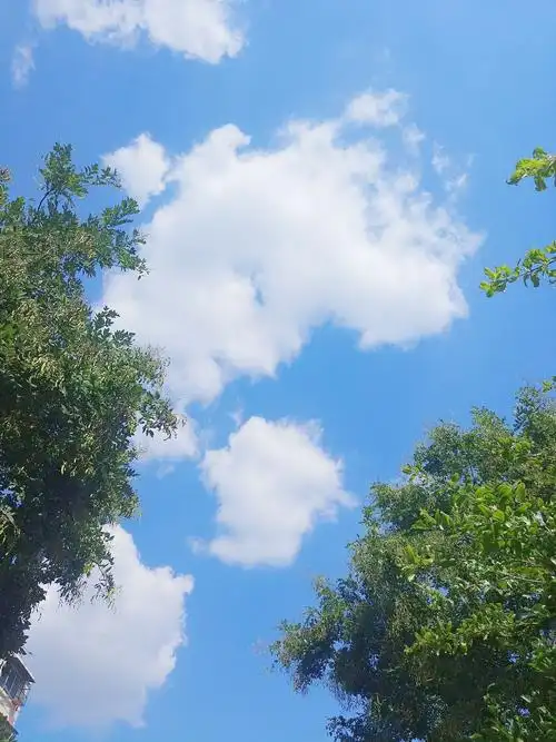 爱就像蓝天白云晴空万里突然暴风雨