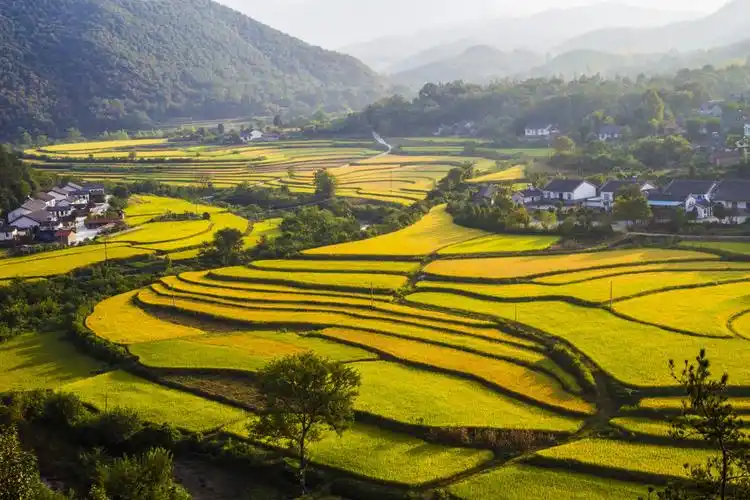 在客店,遇见最美的稻田,遇见最美的风景.