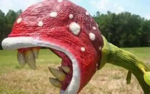 世界上最大的食人花大王花吃人图片触目惊心