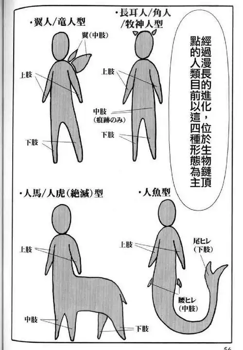 漫域说人马小姐不迷茫因为这是一个美丽的成人童话