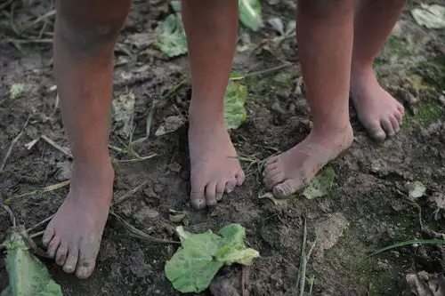 孩子们习惯赤脚在菜地里玩耍.