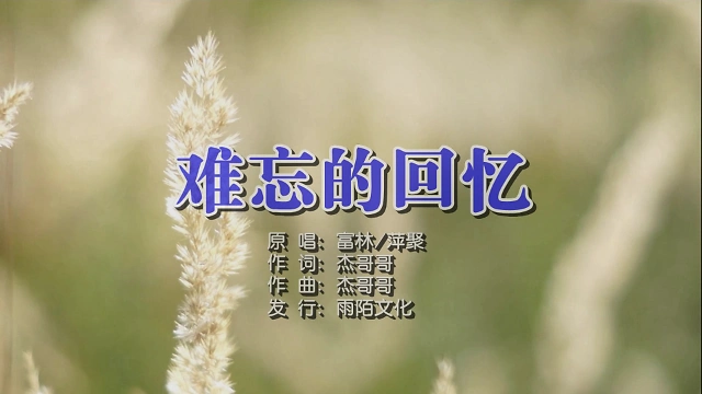 富林vs萍聚 - 难忘的回忆mtv