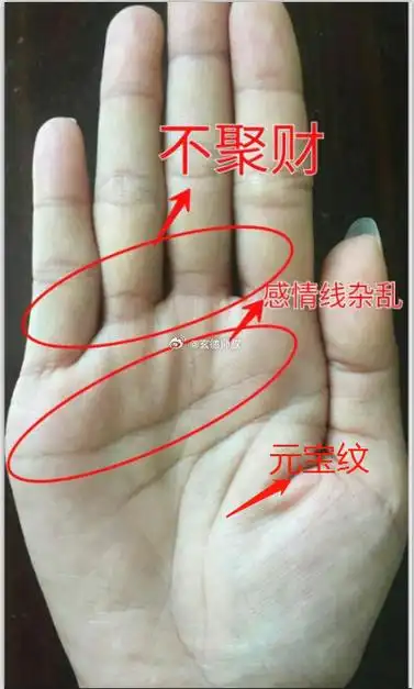 手相来看事业运还是比较稳定,巽宫与坤宫都较饱满,再加上掌心有个元宝