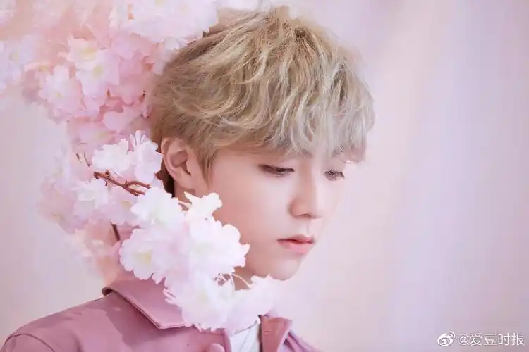 陈立农微博分享了一组金发樱花粉造型图