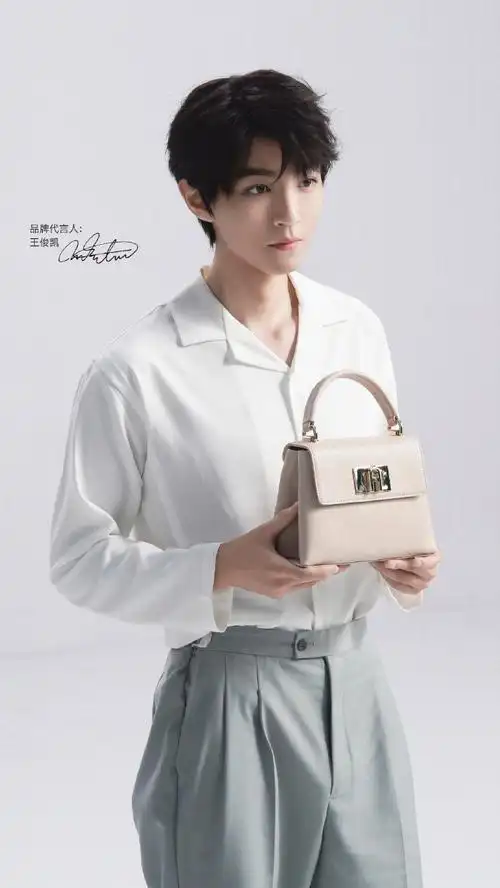 furla品牌代言人王俊凯