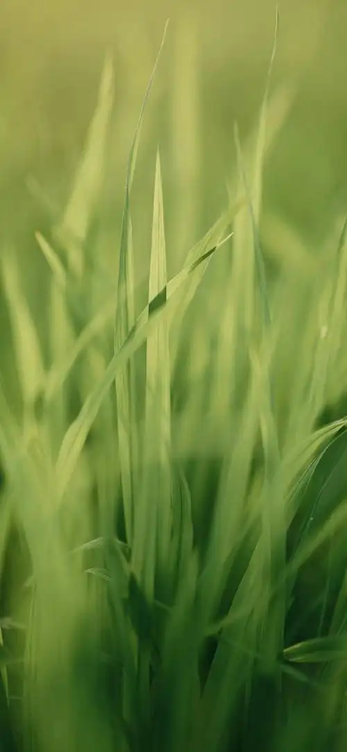 网易首页>网易号>正文申请入驻>640_1387竖版 竖屏