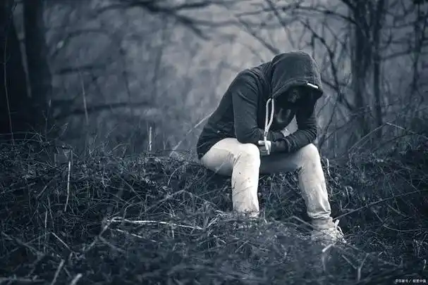 悲伤与失落,情感中的疗愈与成长