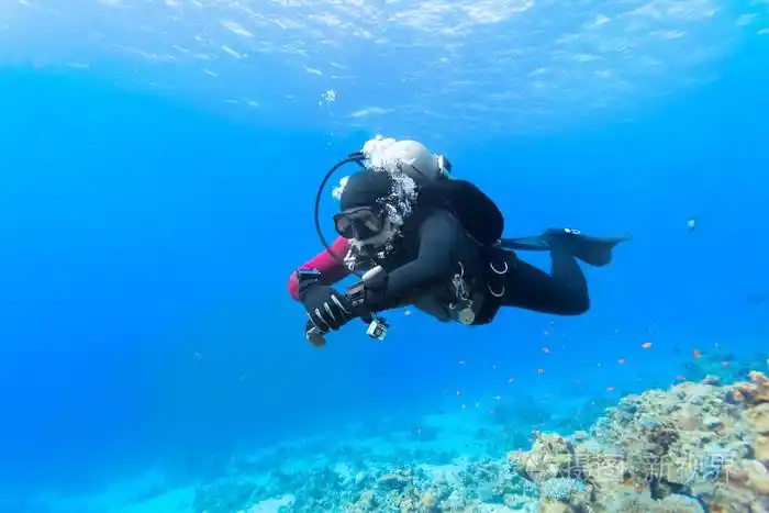 水肺潜水员浮在红海珊瑚礁