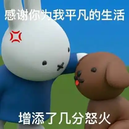 感谢你为我平凡的生活增添了几分怒火 - 米菲兔阴阳怪气表情包