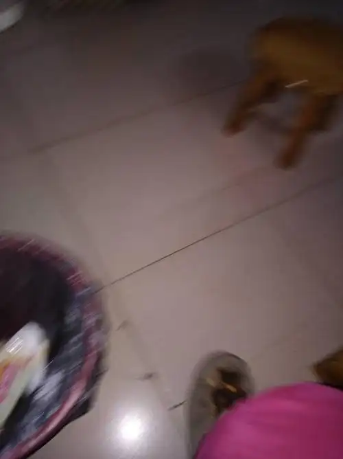 我妈生气没有呢?