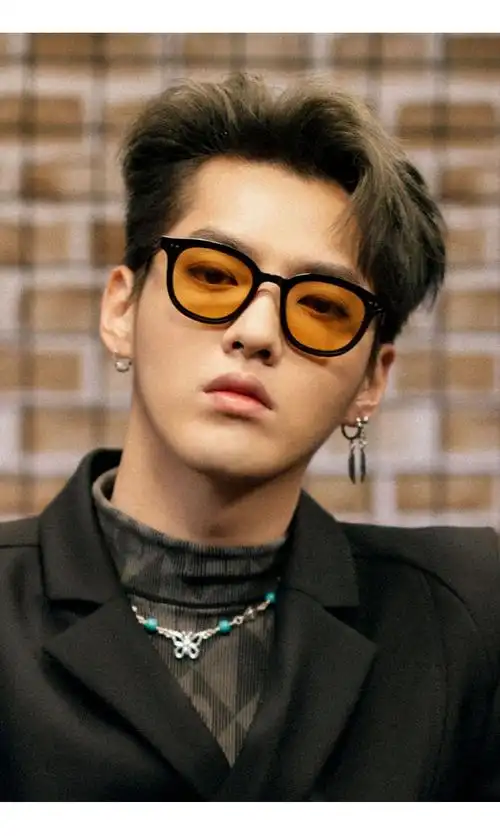 【特价】【特价】爆龙旗舰官方店同款吴亦凡同款茶色墨镜韩版男士复古