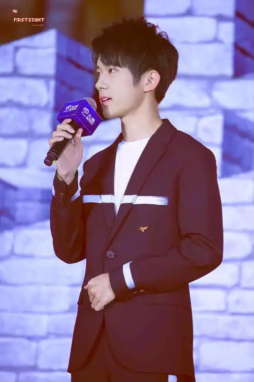 2017tfboys易烊千玺长城保护基金会形象大使授予仪式_高清图片大全