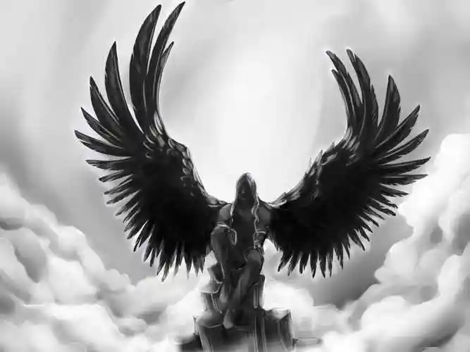 乌云中的黑翼天使
