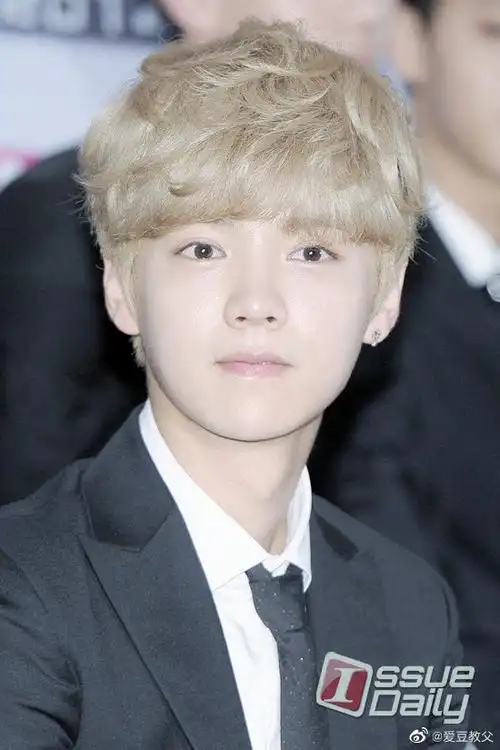 鹿晗银发#鹿晗参加活动 银色造型太好看了 多多营业啊