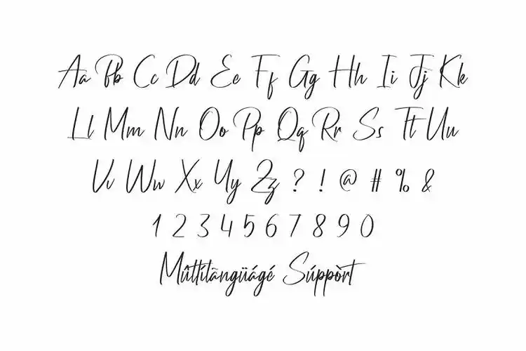 pandemi马克笔清晰连笔手写飘逸英文字体下载