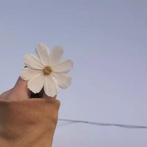 关注我.让你不再缺头像壁纸背景图