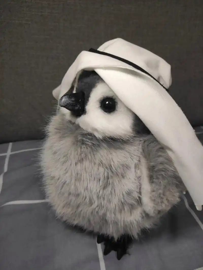 头顶一块布,全球我最富 可爱小企鹅表情包【卡塔尔版】