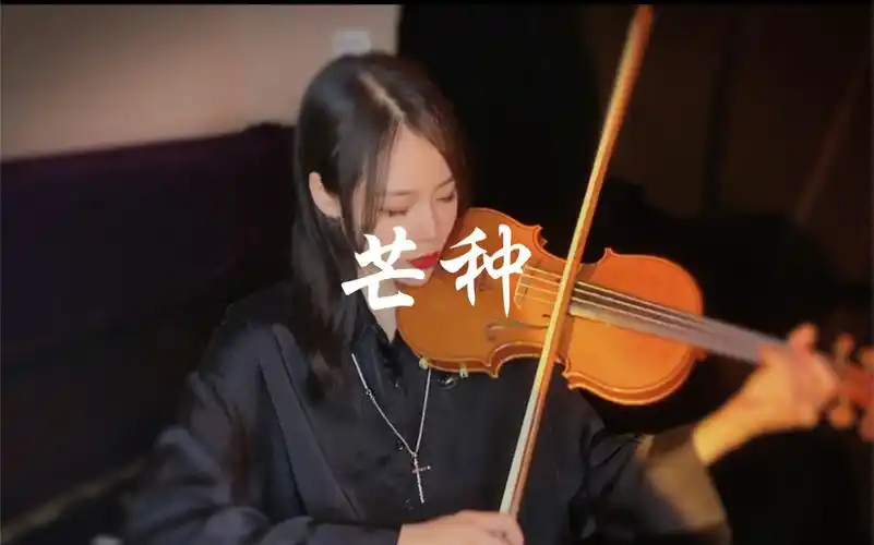 [小提琴]芒种结尾小提琴solo～这段很适合练习跨弦训练