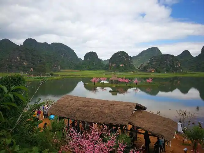 三生三世十里桃花