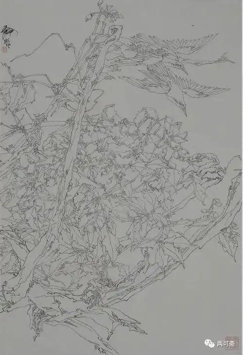 紫藤之二   68x93cm   2003年姚舜熙教授认为,白描写生对于深入观察