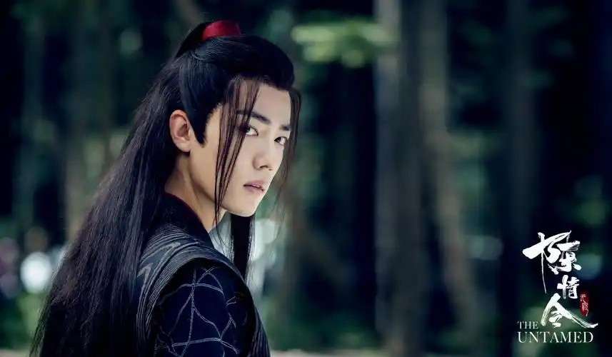 陈情令肖战 饰 魏无羡