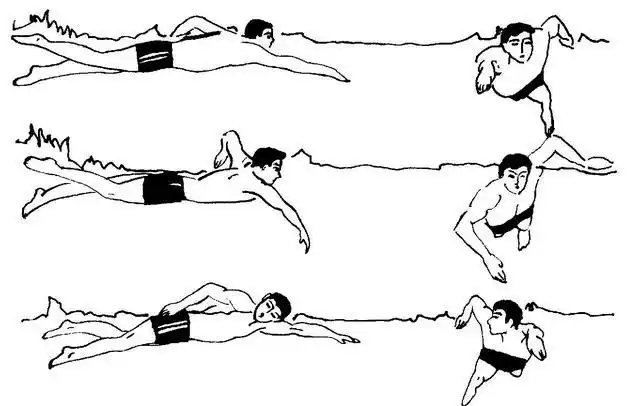 游泳教学:自由泳的正确姿势