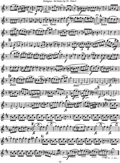 博比格长笛二重奏练习曲op59flute2