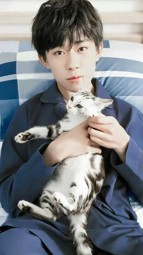 祁九易烊千玺抱猫壁纸