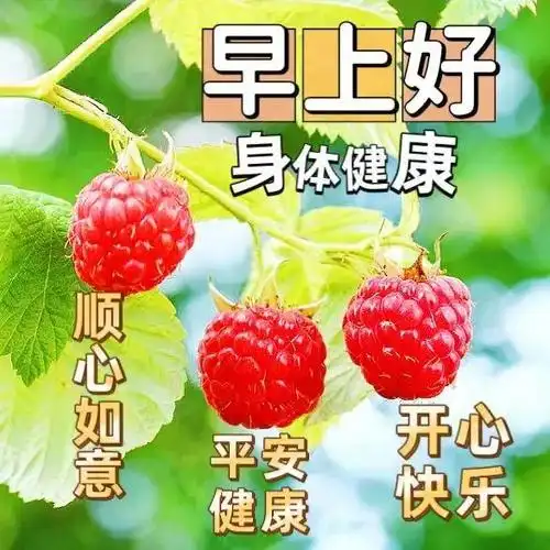 早上好,愿你每天都能拥有快乐的心情,享受健康的身体