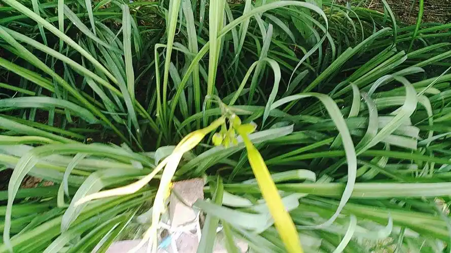 原来不光是我们二三十岁的人会害怕变老_乐夕瑶的鱼吧_斗鱼鱼吧