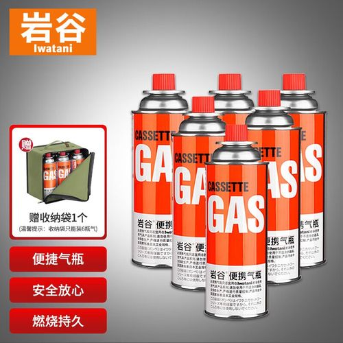 岩谷(iwatani) 厨房天然气煤气灶猛火炉点火器 明火点火枪烧烤打火机