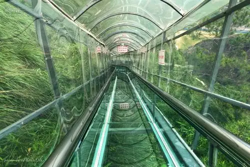 身处其中,手机拍摄520米长的双童山玻璃滑道-搜狐大视野-搜狐新闻