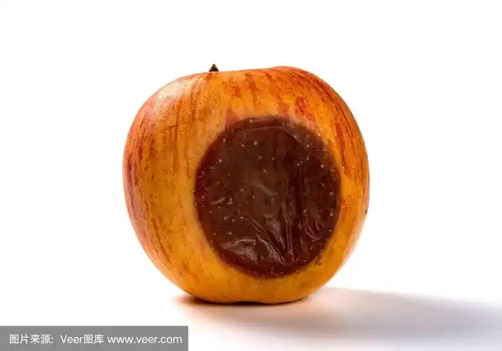 侧视图烂苹果在一个白色的背景