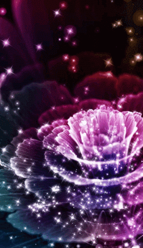 462_800竖版 竖屏gif 动态图 动图