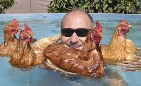 笑掉大牙的图片