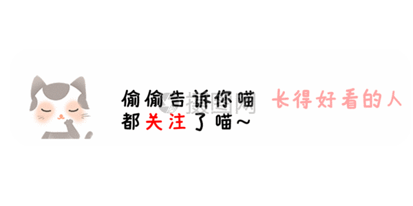 新媒体可爱小猫动态点击关注 gif图片