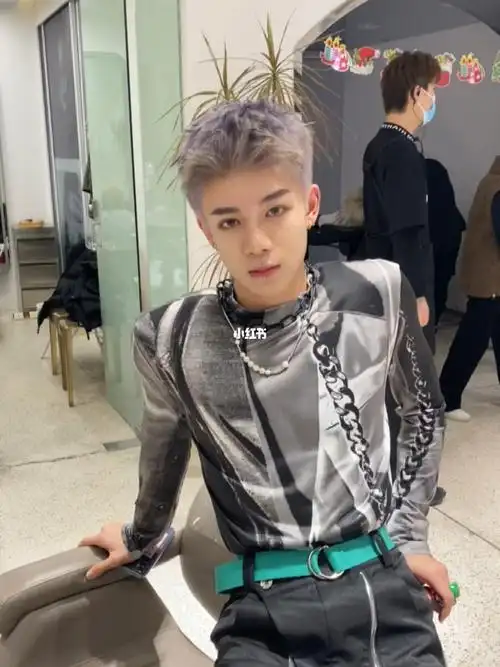 男生发色推荐紫灰色