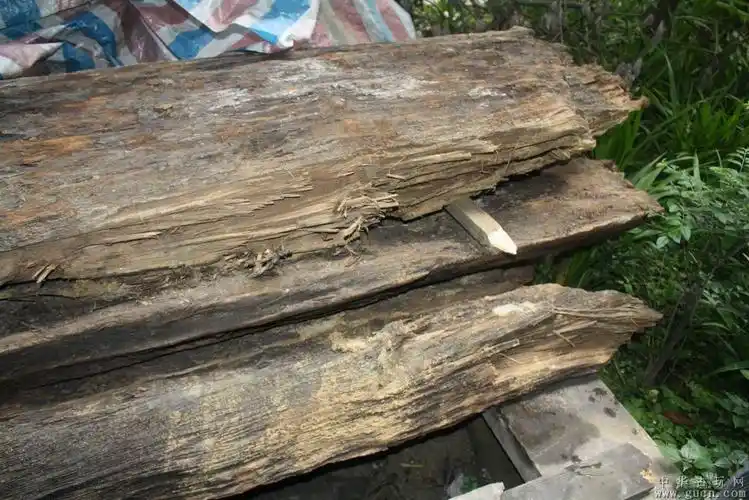 千年乌木金丝楠木