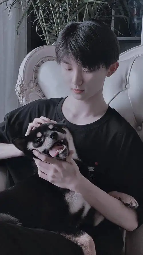 马嘉祺 - 堆糖,美图壁纸兴趣社区