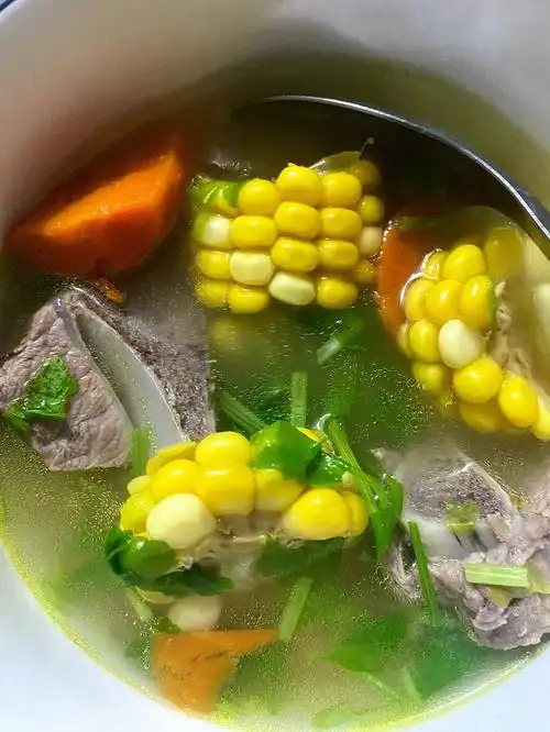 潮汕煲汤潮汕家常菜两人食