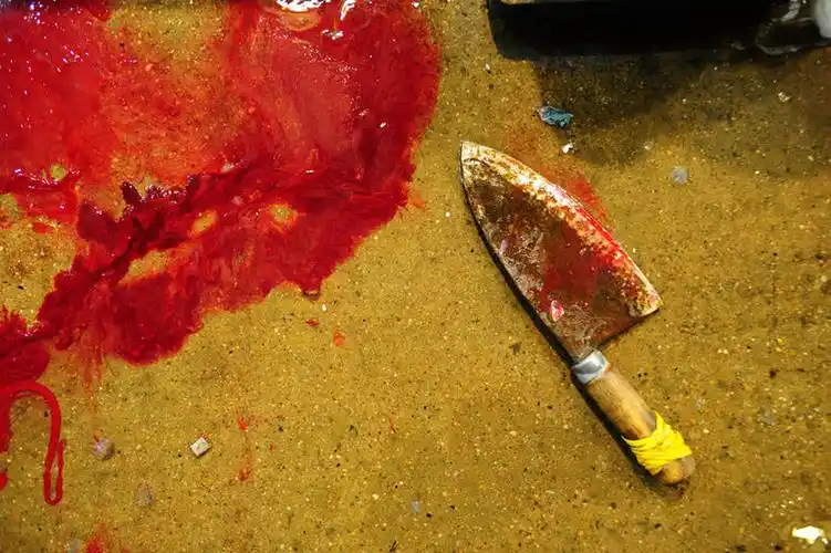 无人,横图,俯视,室外,特写,白天,渔业,首尔,韩国