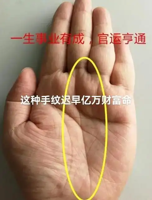掌纹的秘密  这几种手纹包含亿万富豪,暴发户手纹,官运亨通 - 抖音