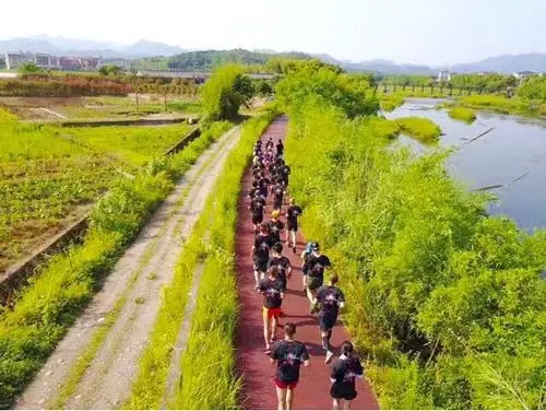 金华市武义县东升路1号