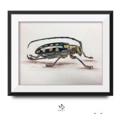 画画图片_儿童画画大全简单漂亮_小学生1一6年级画画图片大全